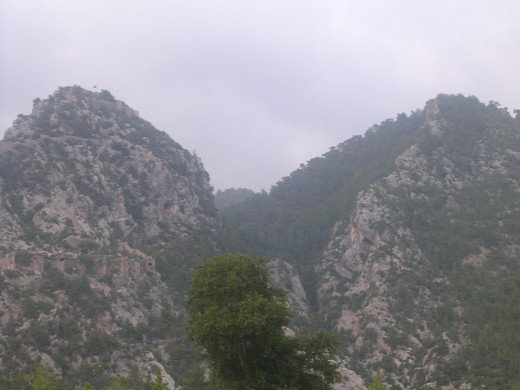 28483 (a): :1024x768